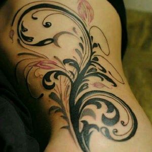 Meet your Posher, Chantelle