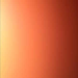 Meet your Posher, Lily