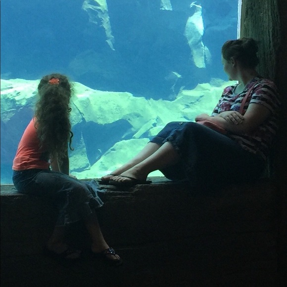 Meet your Posher, Shelby - Picture 5 of 6