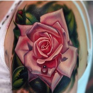 Meet your Posher, Tara