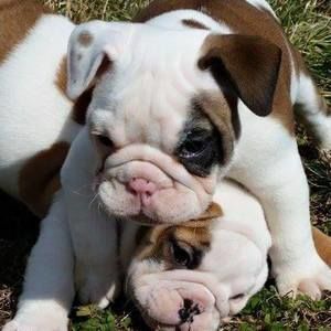 Meet your Posher, Sonja