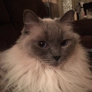 Meet your Posher, Sandra