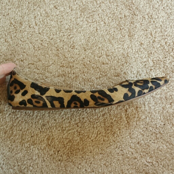 Steve Madden Shoes - Leopard print calf hair flats Steve Madden Shoes - Leopard print calf hair flats