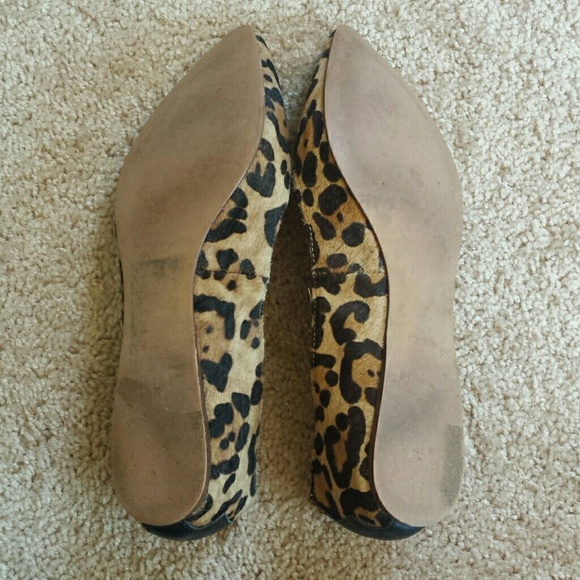 Steve Madden Shoes - Leopard print calf hair flats Steve Madden Shoes - Leopard print calf hair flats