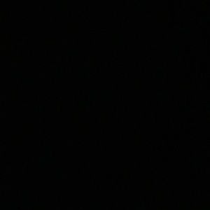 Meet your Posher, Brynn