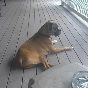 Meet your Posher, Paula