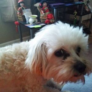 Meet your Posher, Tonya