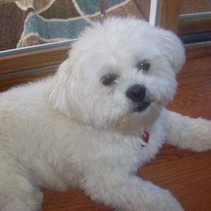 Meet your Posher, Jan