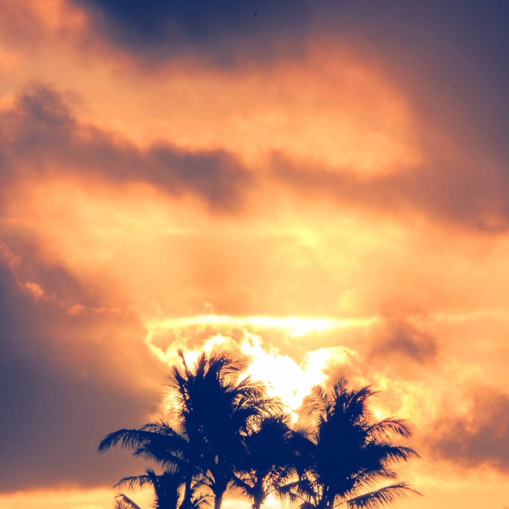 Always on the hunt for unique finds.