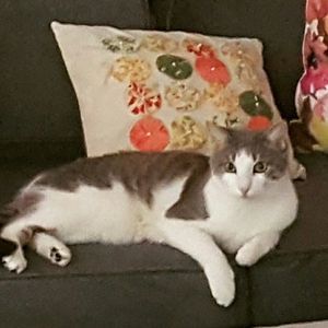 Meet your Posher, Barbara