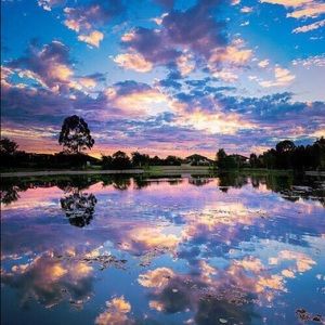 Meet your Posher, Sadie