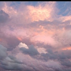 Meet your Posher, Elsie