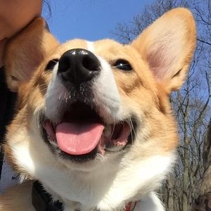 Meet your Posher, Jen