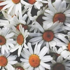 Meet your Posher, Ash