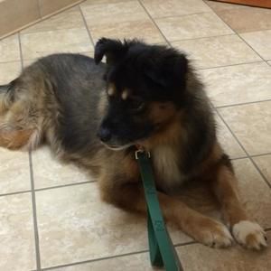 Meet your Posher, Sandra