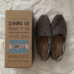 Ash Grey Toms
