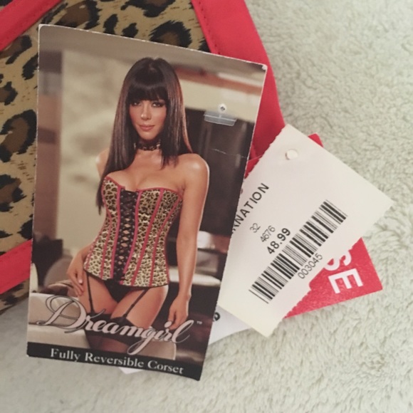 🐾MEOW🐾 NWT🏷 Dreamgirls Leopard Corset - Picture 3 of 3