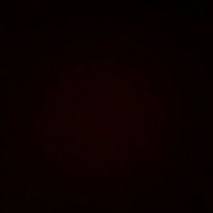 Meet your Posher, Lexi