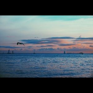 Meet your Posher, Eryn