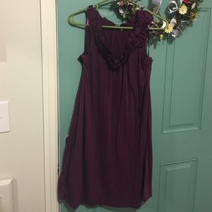 Plum LOFT dress