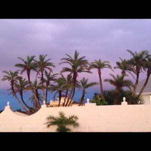 Meet your Posher, Brenda