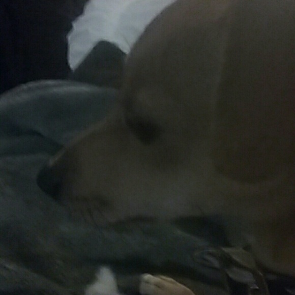 Meet your Posher, Lilly