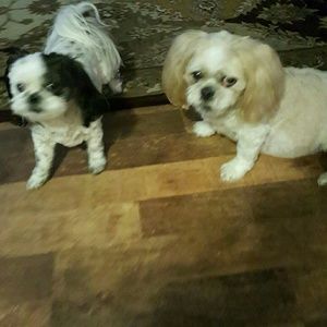 Meet your Posher, Ursula