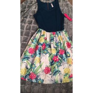 Cute fit and flare floral dress
