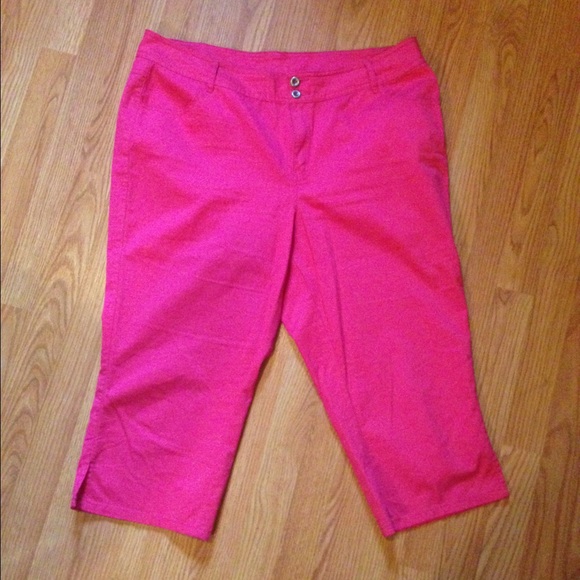 Pink capris from lane Bryant!