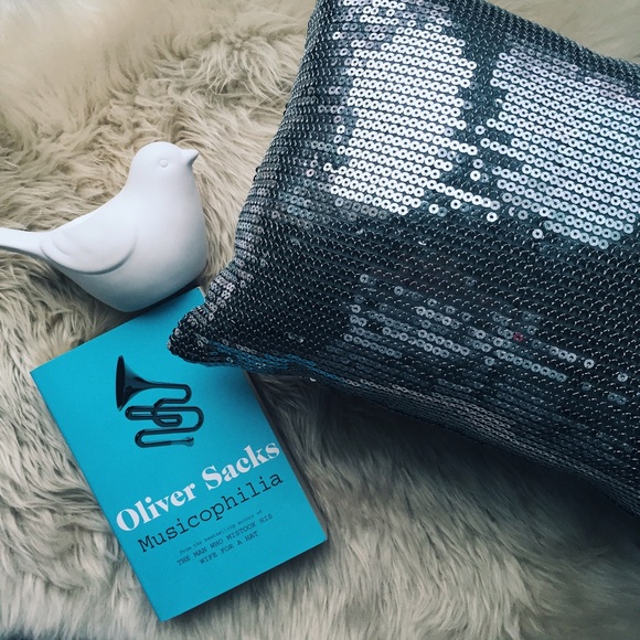 Sequins accent pillow