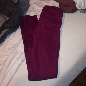 Hollister pants