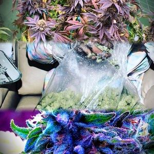 Meet your Posher, Mariah