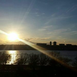 Meet your Posher, Malissa