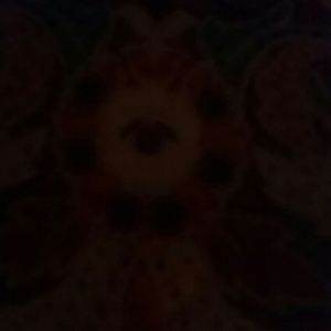 Meet your Posher, Angie