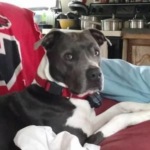 Meet your Posher, Tanya