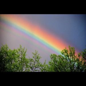 Meet your Posher, Cher