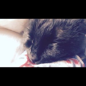 Meet your Posher, River