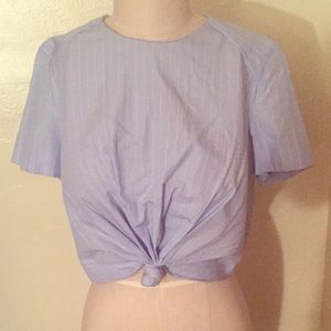 Zara pinstripe crop top