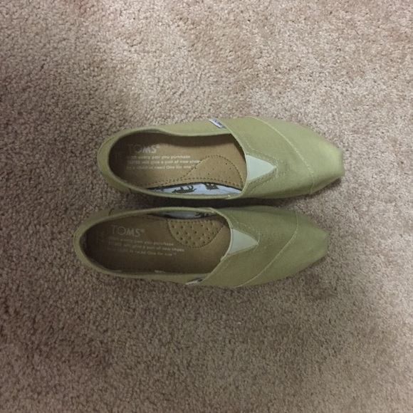 TOMS