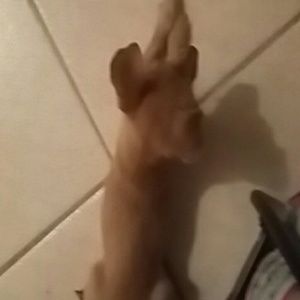 Meet your Posher, Carolyn