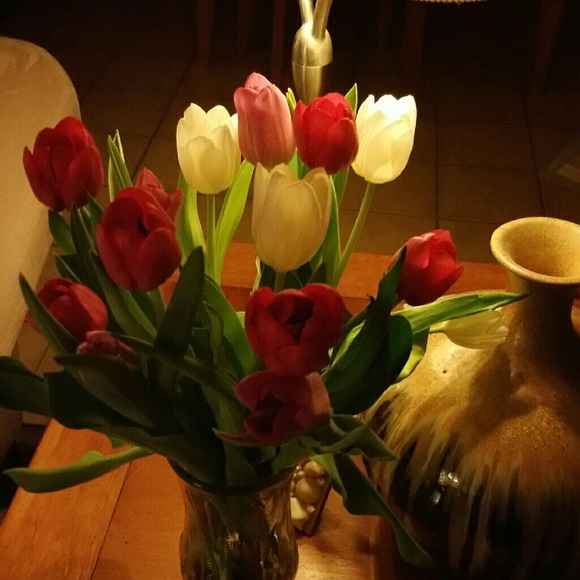 Meet your Posher, Ellen