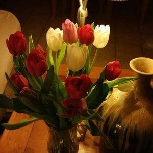 Meet your Posher, Ellen