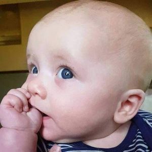 Meet your Posher, Donna