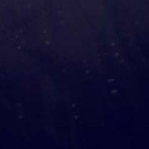 Meet your Posher, Ellen