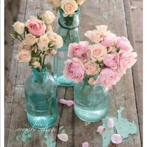 Meet your Posher, Hattie