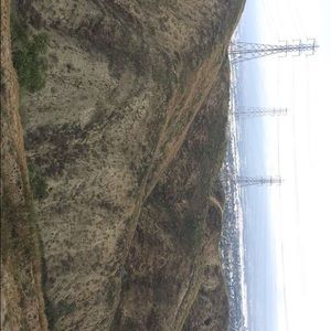 Meet your Posher, Diane