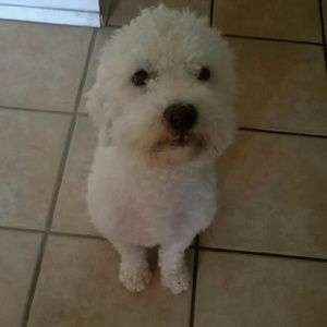 Meet your Posher, Blanca
