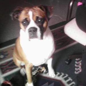 Meet your Posher, Rene