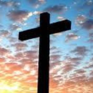 Meet your Posher, Lynn