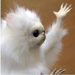 Meet your Posher, Danny